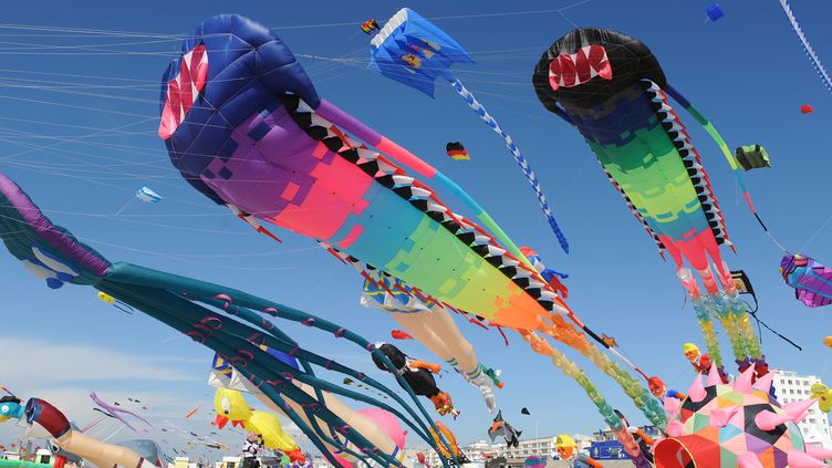 Cerf-volant lors des Rencontres Internationales, Berck-sur-Mer